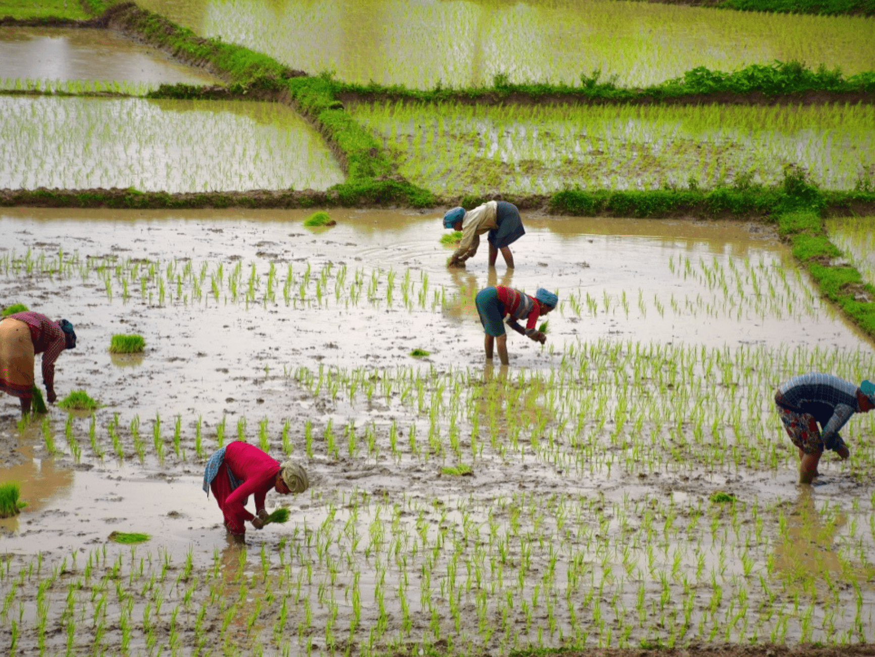 Other Publications picture