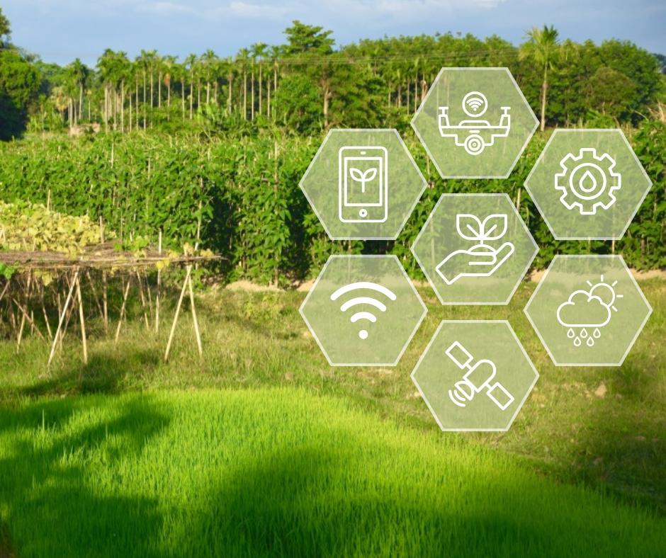 Digital Agriculture in India