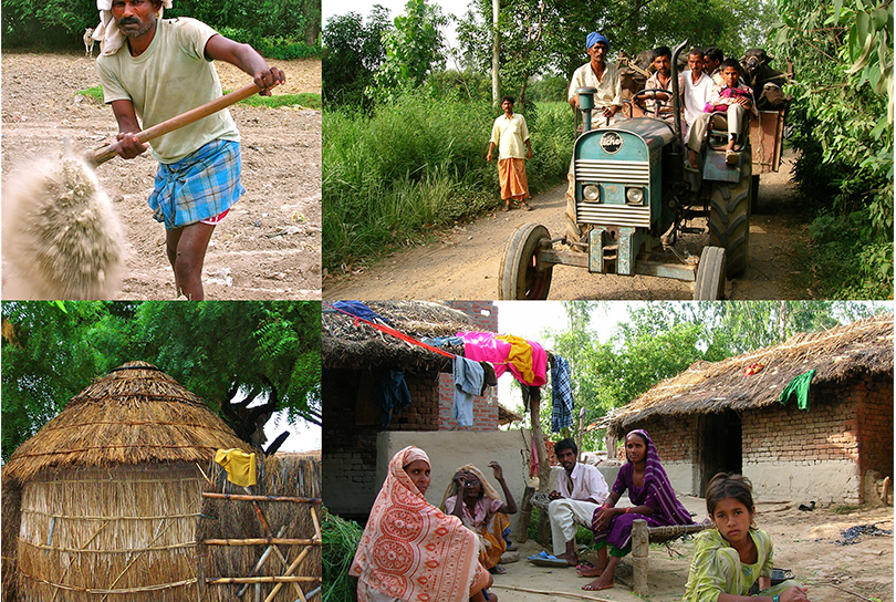 The Dynamics of Agricultural Innovation in India
