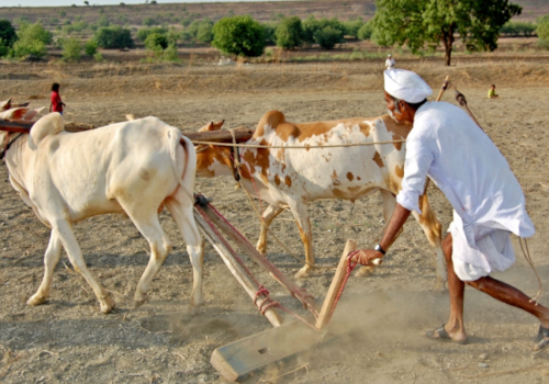 Trends of Public Spending on Agriculture in India